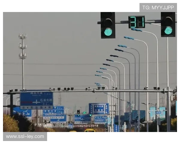 生物识别技术简化身份核验 提升通行效率 生物识别技术简化身份核验 提升通行效率