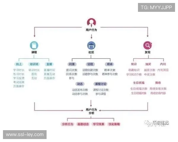 用户画像精度提升,个性化营销点击率增长