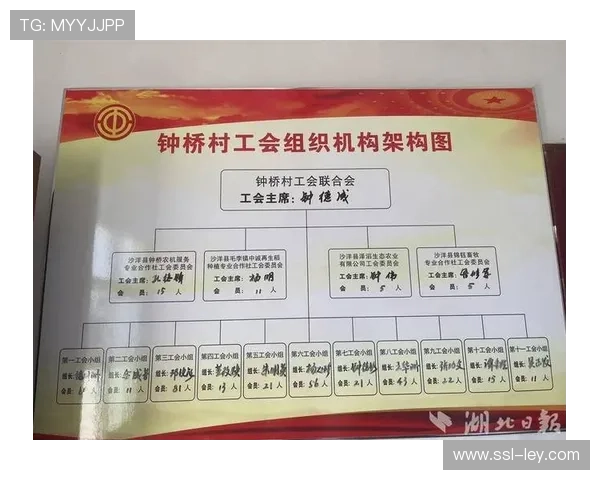 杠杆调节机制成熟 撬动赛事执行效能提升